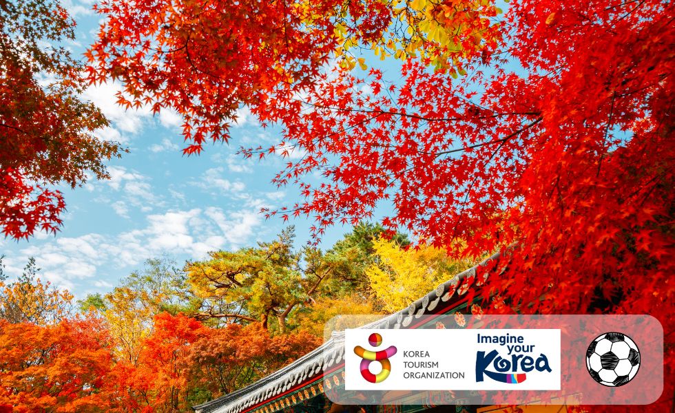 Autumn Korea - Seoul, Nami Island, Sokcho & Zen Experience | Our